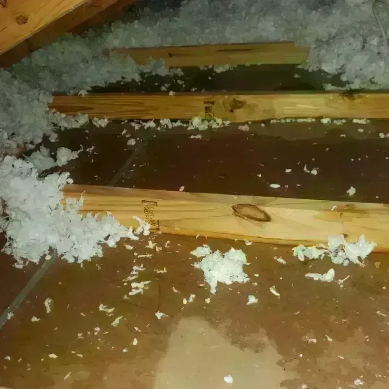 Attic Water Damage in Guayama, PR